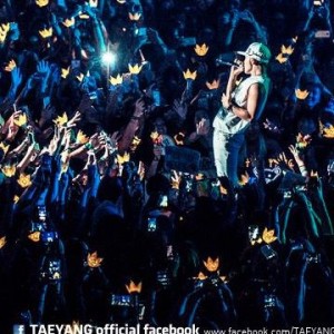 taeyang-vips-1